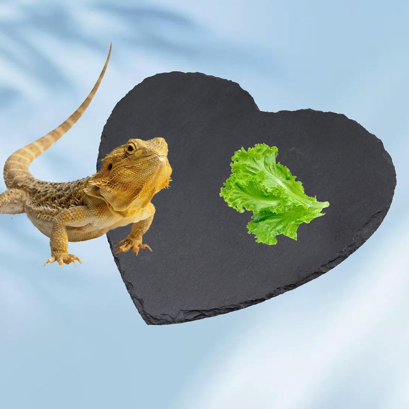 Oooct Reptile Basking Platform, 7.9 × 7.9 inch Tortoise Rock Plate, Heart Shape Natural Rock Reptile Food Dish, Turtle Feeding Bowl, Habitat Decor for Bearded Dragon Chameleon Frog Lizard Gecko Hermit Crab - Image 4